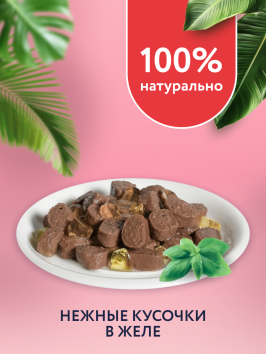 Florida - Паучи для стерилизованных кошек, Кусочки с Говядиной в желе, 85 гр