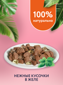 Florida - Паучи для стерилизованных кошек, Кусочки с Индейкой в желе, 85 гр