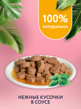 Florida - Паучи для стерилизованных кошек, Кусочки с Курицей в соусе, 85 гр