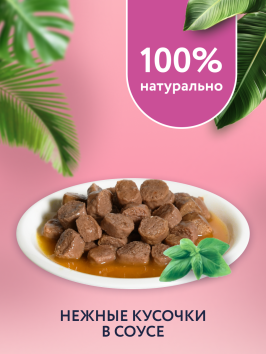 Florida - Паучи для стерилизованных кошек, Кусочки с Уткой в соусе, 85 гр