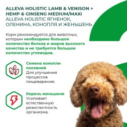 Alleva Холистик - Беззерновой корм для взрослых собак средних и крупных пород, Ягненок с Олениной, Коноплей и Женьшенем