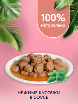 Florida - Паучи для кошек с чувствительным пищеварением, кусочки с лососем в соусе 85гр