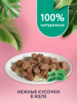 Florida - Паучи для взрослых кошек, Кусочки с Кроликом и Яблоком в желе, 85 гр