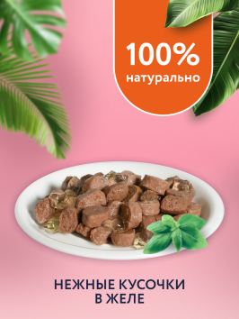 Florida - Паучи для котят, кусочки с индейкой и тыквой 85гр