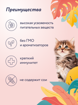 Florida - Паучи для котят, кусочки с индейкой и тыквой 85гр