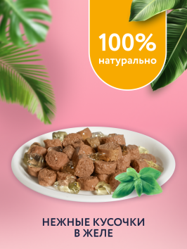 Florida - Паучи для взрослых кошек, Кусочки с Курицей и Клюквой в желе, 85 гр