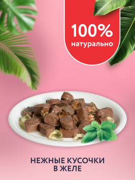 Florida - Паучи для котят, кусочки с говядиной и морковью в желе 85гр