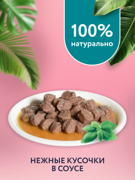 Florida - Паучи для взрослых кошек, Кусочки с Тунцом и Шпинатом в соусе, 85 гр