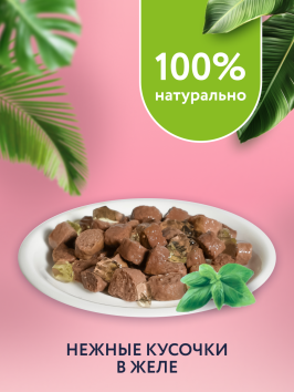 Florida - Паучи для взрослых кошек с чувствительным пищеварением, Кусочки с Ягненком и Тыквой в желе, 85гр