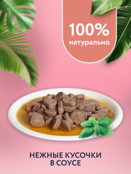 Florida - Паучи для котят, Кусочки с Лососем в соусе, 85 гр