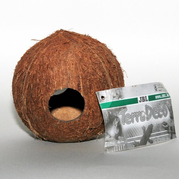 Грот из кокоса для аквариума своими руками фото
