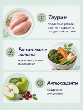 Florida - Сухой корм для взрослых собак крупных пород с курицей и яблоком