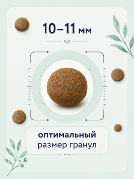 Florida - Сухой корм для взрослых собак средних пород с курицей и яблоком