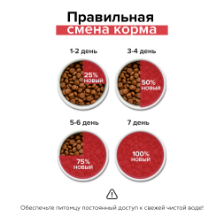 Doctrine - Беззерновой сухой корм для кошек, с индейкой, ягнёнком и рисом