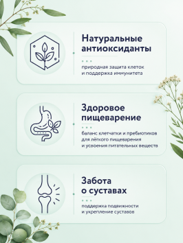 Florida - Сухой корм для взрослых собак средних пород с ягненком и грушей