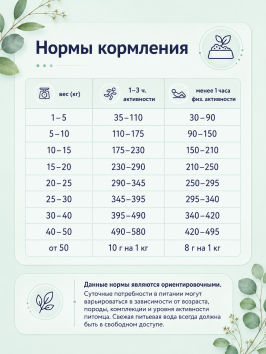 Florida - Сухой корм для взрослых собак средних пород с ягненком и грушей