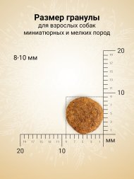 Craftia Natura - Сухой корм для взрослых собак, миниатюрных и мелких пород, из Утки с Фазаном