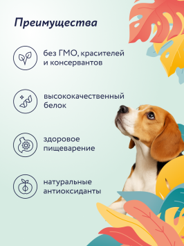 Florida - Сухой корм для взрослых собак мелких пород, с Ягненком и Грушей