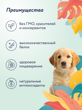 Florida - Сухой корм для щенков средних пород, с Курицей и Яблоком