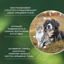 ProPhyto - Артро защита, кормовая добавка для здоровья суставов для собак и кошек
