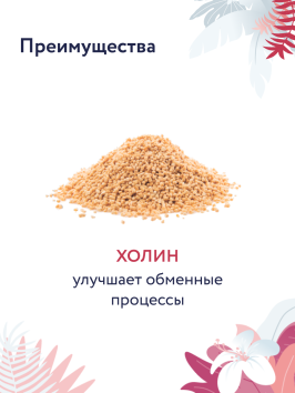 Florida Preventive Line Hepatic - Сухой корм для кошек, при заболеваниях печени (Профилактика)
