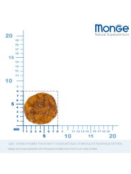 Monge Urinary - Сухой корм для профилактики МКБ у Кошек