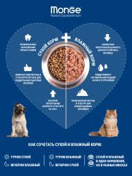 Monge Urinary - Сухой корм для профилактики МКБ у Кошек