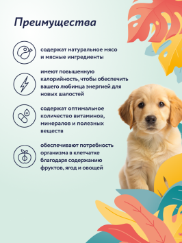 Florida - Консервы для щенков, Ягненок с Черникой