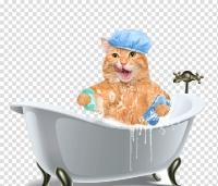 Шампуни и кондиционеры