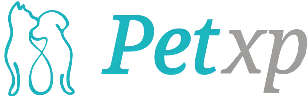 Корма Monge для собак и кошек - купить в магазине PetXP | +7 () 